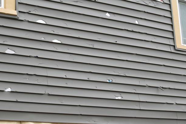 Best Fascia and Soffit Installation  in Idyllwild Pine Cove, CA