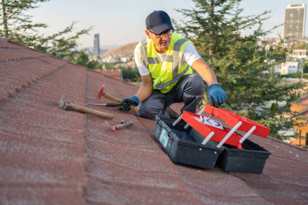 Best Siding Removal and Disposal  in Idyllwild Pine Cove, CA