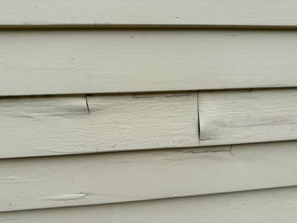 Affordable siding repair and maintenance services in Idyllwild Pine Cove, CA